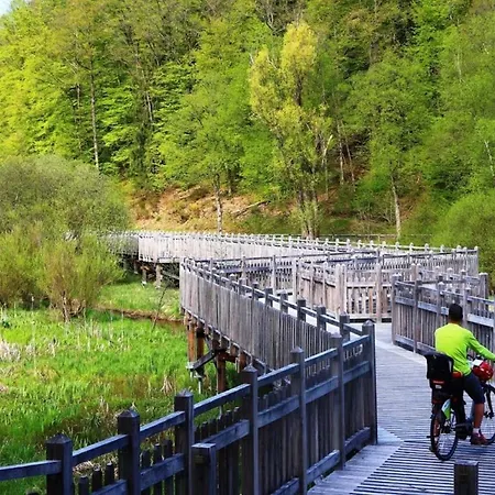 Starlette Privatif à Hébergement de vacances Meisenthal